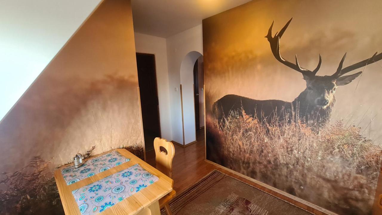 Privatunterkunft Wynajem Pokoi Magdalena *